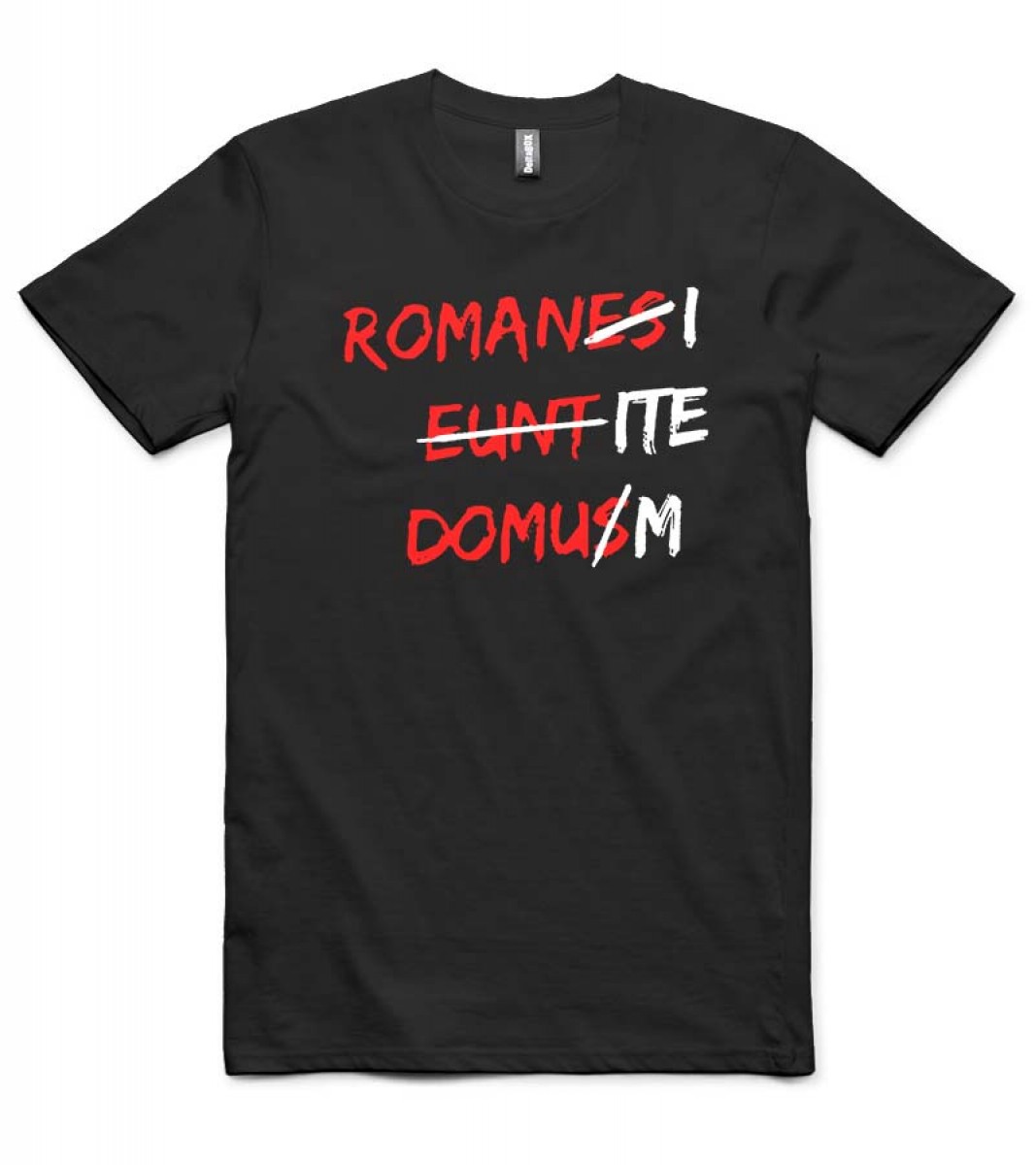 Romanes eunt domus